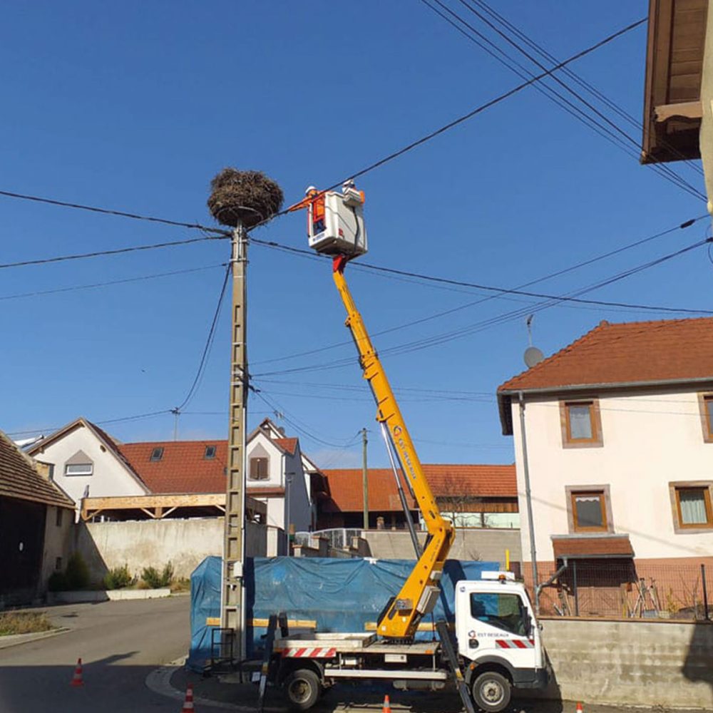 Est-reseaux-gestion-nid-cigogne-3