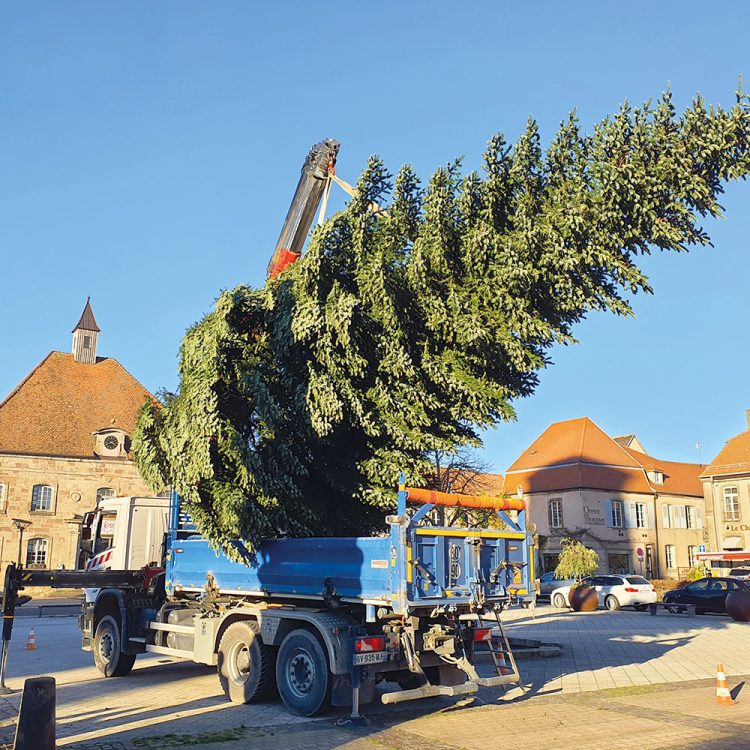 installation-sapin-illumination-noel-est-reseaux-2